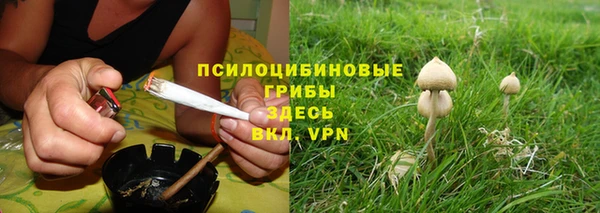 прущая мука Алексин