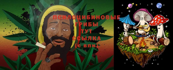 круглые Алзамай