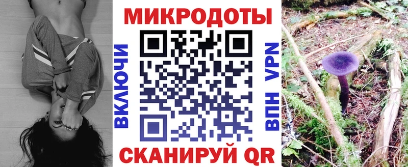 Псилоцибиновые грибы MAGIC MUSHROOMS где купить наркоту Духовщина